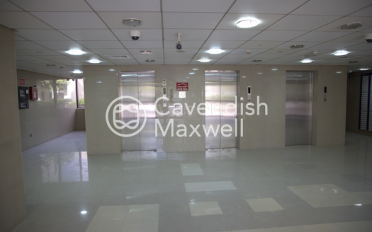 Full Building| G+6| Fitted Office Spaces Available